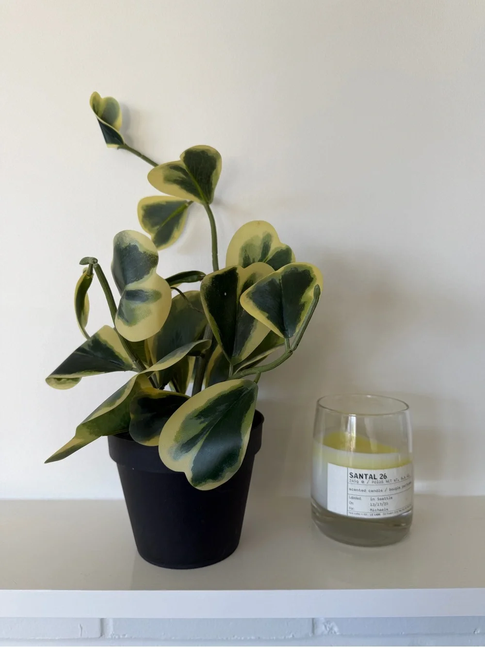 [NWOT] Faux Trailing Heart Plant